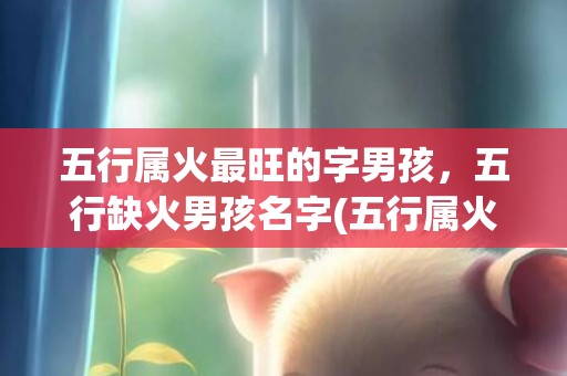 五行属火最旺的字男孩，五行缺火男孩名字(五行属火最旺的字男孩名字)