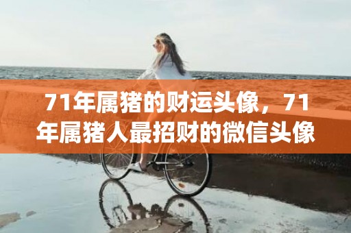 71年属猪的财运头像，71年属猪人最招财的微信头像风景(71年属猪的财运在哪方)