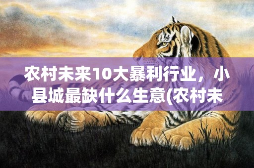 农村未来10大暴利行业，小县城最缺什么生意(农村未来10大暴利种植)