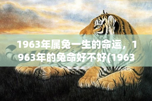 1963年属兔一生的命运，1963年的兔命好不好(1963年属兔一生命运)