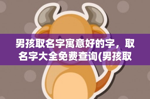 男孩取名字寓意好的字，取名字大全免费查询(男孩取名字寓意好的字2024年)