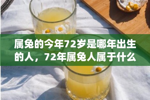 属兔的今年72岁是哪年出生的人，72年属兔人属于什么命(属兔的今年72岁)