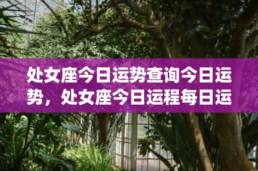处女座今日运势查询今日运势，处女座今日运程每日运势(处女座今日运势查询财运)