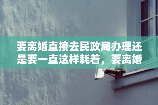 要离婚直接去民政局办理还是要一直这样耗着，要离婚直接去民政局吗