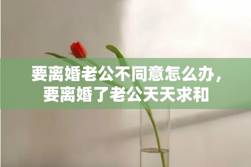 要离婚老公不同意怎么办，要离婚了老公天天求和