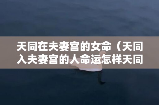 天同在夫妻宫的女命（天同入夫妻宫的人命运怎样天同在夫妻宫详解）