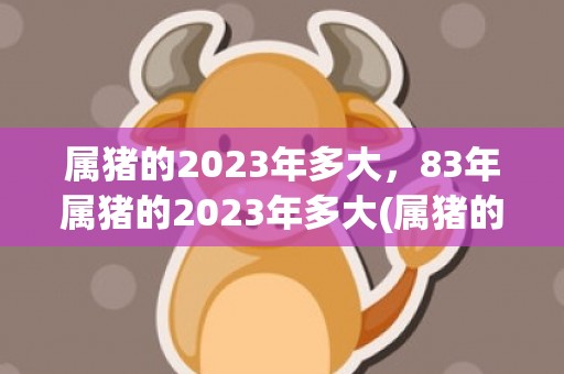 属猪的2023年多大，83年属猪的2023年多大(属猪的2023年8月份运势)