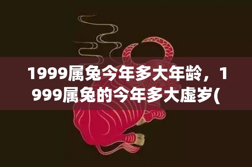 1999属兔今年多大年龄，1999属兔的今年多大虚岁(1999属兔今年几周岁)