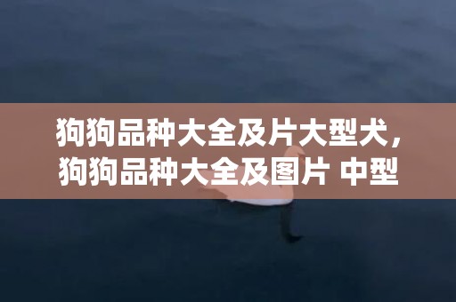 狗狗品种大全及片大型犬，狗狗品种大全及图片 中型(狗狗品种大全及图片视频)