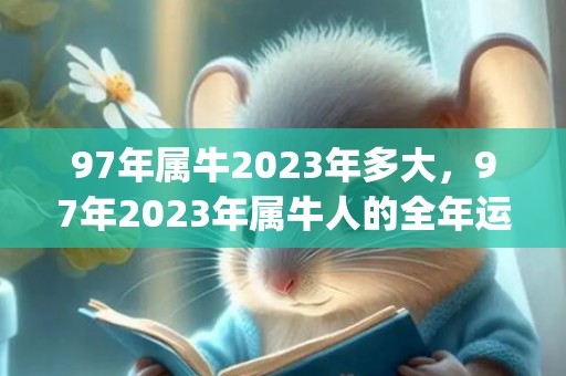 97年属牛2023年多大，97年2023年属牛人的全年运势(97年属牛2023年运势及运程)
