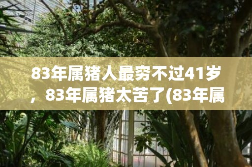 83年属猪人最穷不过41岁，83年属猪太苦了(83年属猪人最穷不过41岁男)