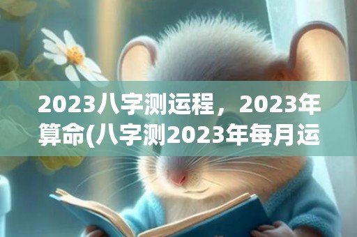 2023八字测运程，2023年算命(八字测2023年每月运势)