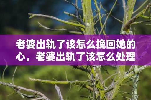 老婆出轨了该怎么挽回她的心，老婆出轨了该怎么处理才解狠