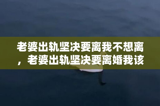 老婆出轨坚决要离我不想离，老婆出轨坚决要离婚我该拖着她吗为什么呢