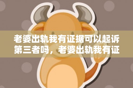 老婆出轨我有证据可以起诉第三者吗，老婆出轨我有证据能告诉对方的老婆吗