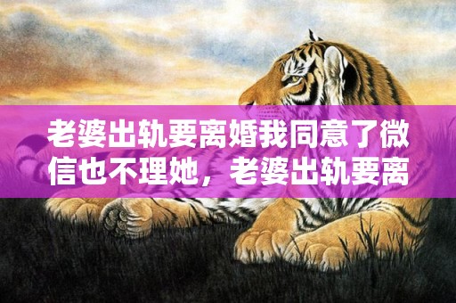 老婆出轨要离婚我同意了微信也不理她，老婆出轨要离婚我不想离婚怎么办还能挽回吗
