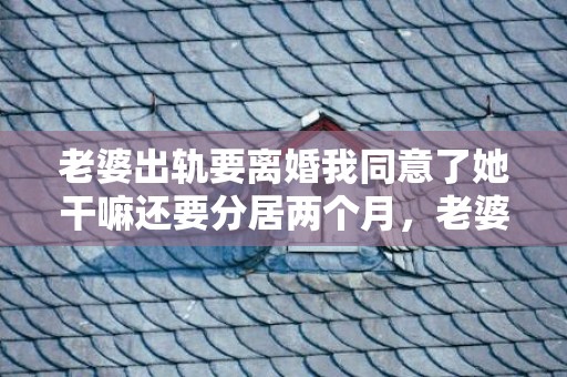 老婆出轨要离婚我同意了她干嘛还要分居两个月，老婆出轨要离婚我不想离婚怎么办知乎