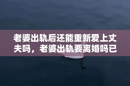 老婆出轨后还能重新爱上丈夫吗，老婆出轨要离婚吗已经有两个孩子了怎么处理