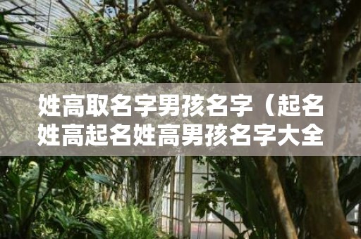 姓高取名字男孩名字（起名姓高起名姓高男孩名字大全）