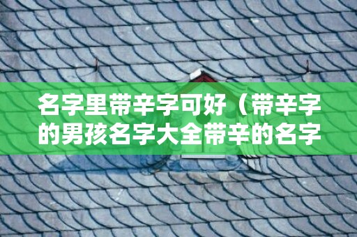 名字里带辛字可好（带辛字的男孩名字大全带辛的名字好不好）