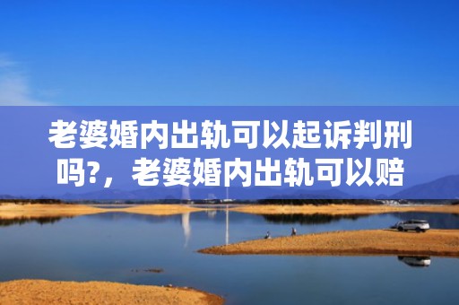 老婆婚内出轨可以起诉判刑吗?，老婆婚内出轨可以赔偿我多少钱呢知乎全文
