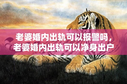 老婆婚内出轨可以报警吗，老婆婚内出轨可以净身出户吗知乎文章