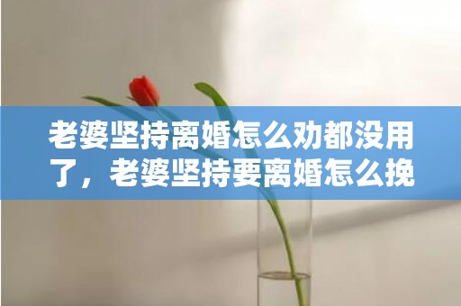 老婆坚持离婚怎么劝都没用了，老婆坚持要离婚怎么挽回老公