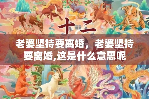 老婆坚持要离婚，老婆坚持要离婚,这是什么意思呢