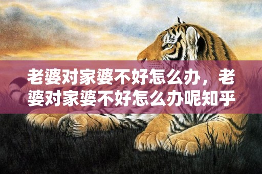 老婆对家婆不好怎么办，老婆对家婆不好怎么办呢知乎