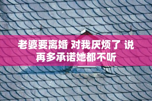 老婆要离婚 对我厌烦了 说再多承诺她都不听