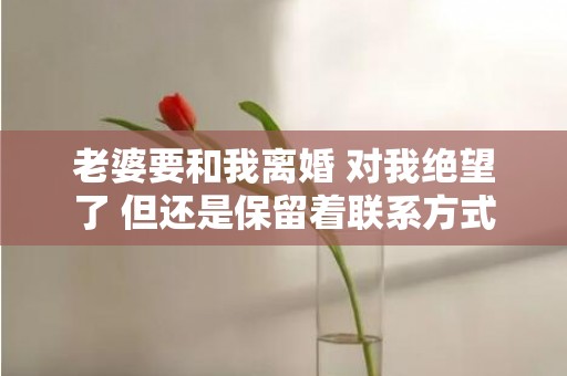 老婆要和我离婚 对我绝望了 但还是保留着联系方式