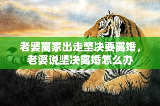 老婆离家出走坚决要离婚，老婆说坚决离婚怎么办