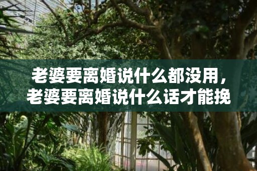 老婆要离婚说什么都没用，老婆要离婚说什么话才能挽回老公的感情