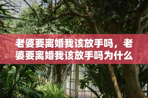 老婆要离婚我该放手吗，老婆要离婚我该放手吗为什么不离婚