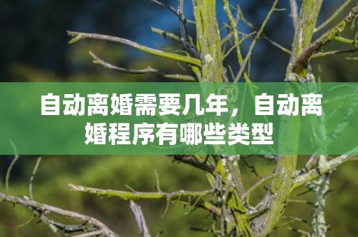 自动离婚需要几年，自动离婚程序有哪些类型