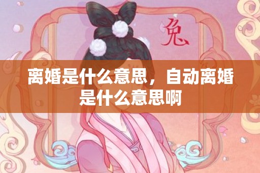 离婚是什么意思，自动离婚是什么意思啊