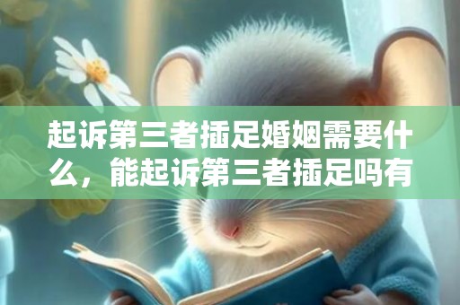 起诉第三者插足婚姻需要什么，能起诉第三者插足吗有哪些赔偿项目
