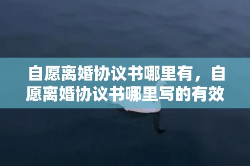 自愿离婚协议书哪里有，自愿离婚协议书哪里写的有效呢