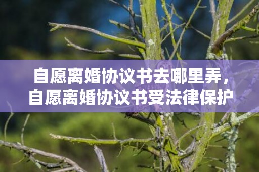 自愿离婚协议书去哪里弄，自愿离婚协议书受法律保护吗有效吗知乎