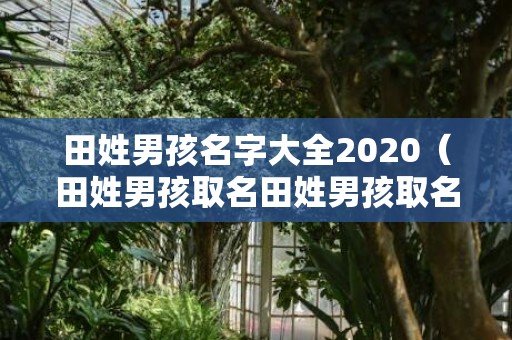 田姓男孩名字大全2020（田姓男孩取名田姓男孩取名字一个字）