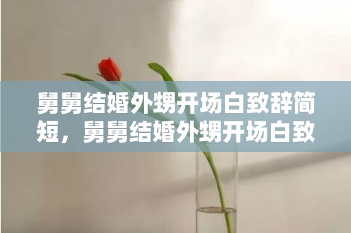 舅舅结婚外甥开场白致辞简短，舅舅结婚外甥开场白致辞简短一点
