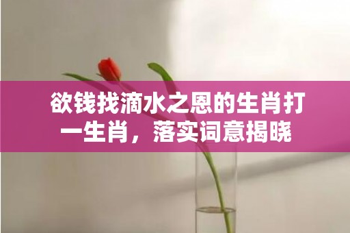  欲钱找滴水之恩的生肖打一生肖，落实词意揭晓