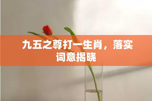  九五之尊打一生肖，落实词意揭晓