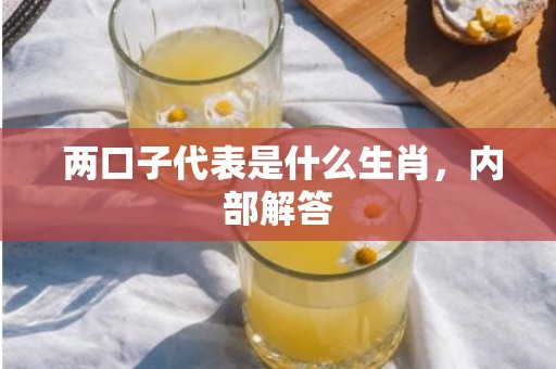  两口子代表是什么生肖，内部解答