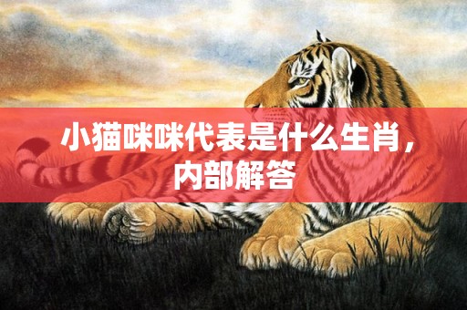  小猫咪咪代表是什么生肖，内部解答