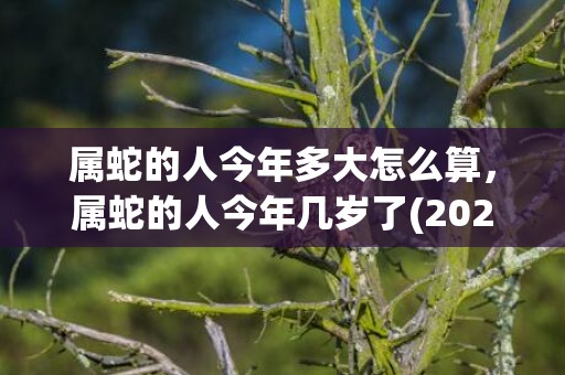 属蛇的人今年多大怎么算，属蛇的人今年几岁了(2023年属蛇的虚岁多大了)