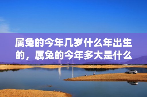属兔的今年几岁什么年出生的，属兔的今年多大是什么命(属兔今年的运气)