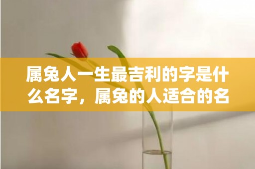 属兔人一生最吉利的字是什么名字，属兔的人适合的名字(属兔人一生最吉利的字属火)