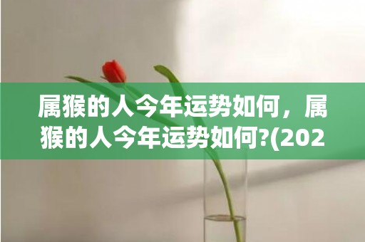 属猴的人今年运势如何，属猴的人今年运势如何?(2022)