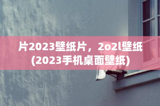 片2023壁纸片，2o2l壁纸(2023手机桌面壁纸)